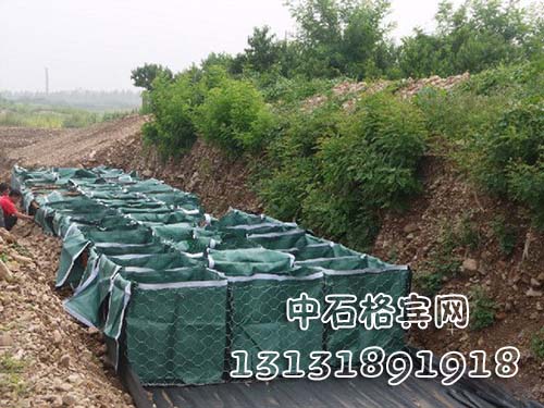 zsshilong67.jpg zsshilong67.jpg