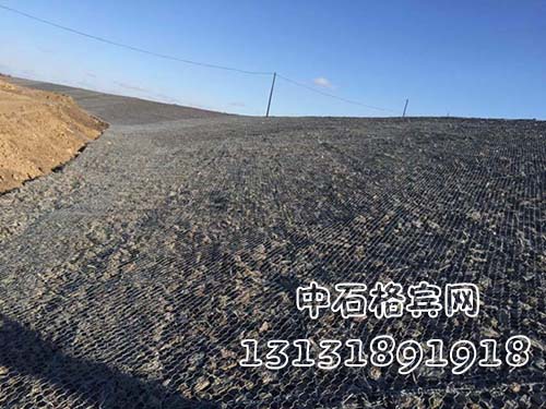 zsshilong95.jpg zsshilong95.jpg