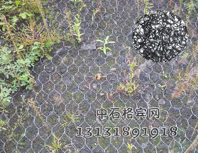 防洪加筋麥克墊價(jià)格13131891918 防洪加筋麥克墊價(jià)格13131891918