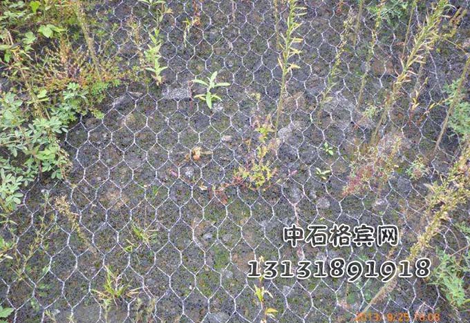 護坡加筋麥克墊咨詢13131891918 護坡加筋麥克墊咨詢13131891918