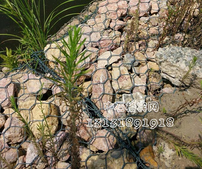 河道護(hù)岸固濱籠價(jià)格咨詢(xún)13131891918 河道護(hù)岸固濱籠價(jià)格咨詢(xún)13131891918